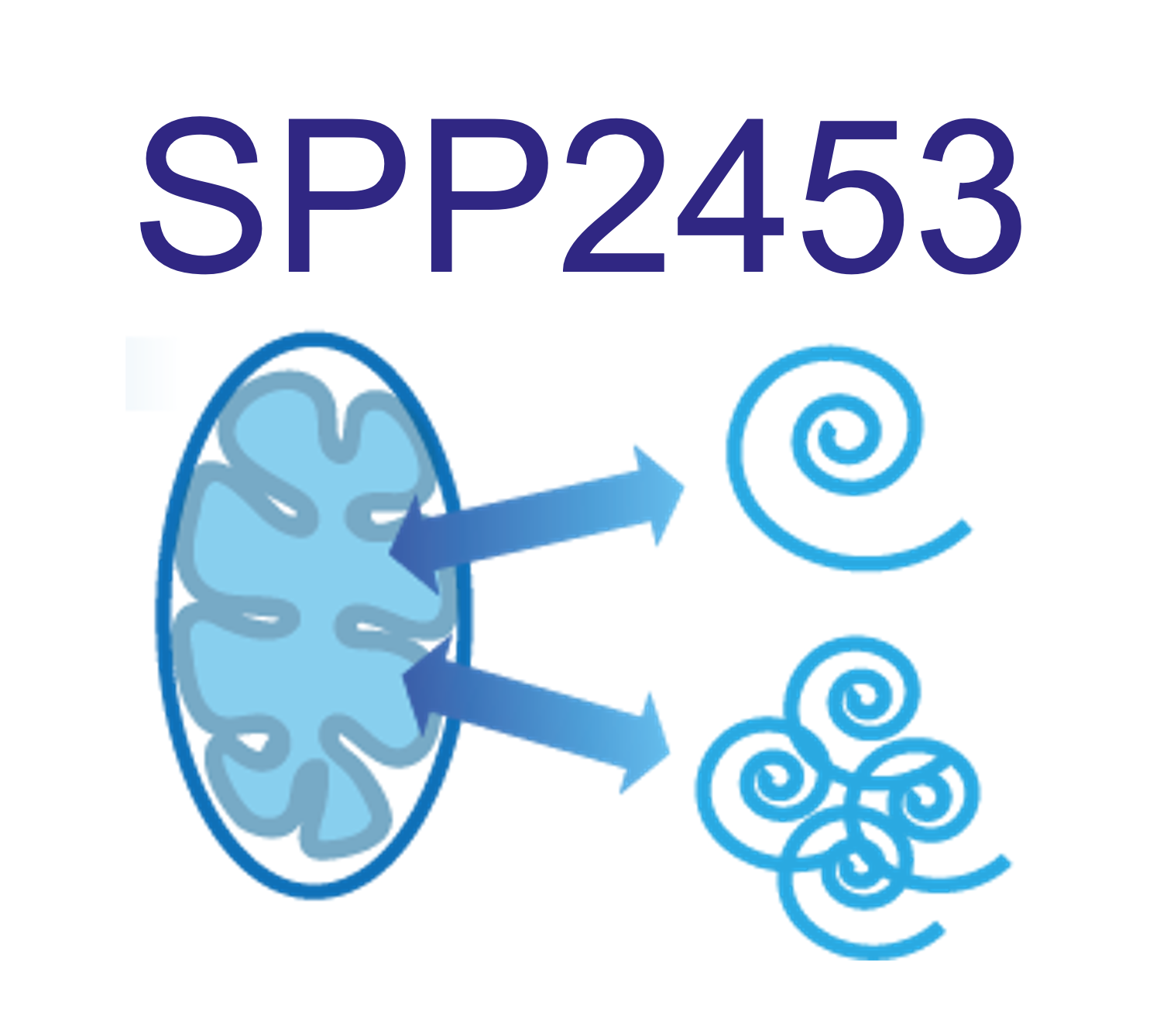 SPP2453 "Integration of mitochondria into the cellular proteostasis network"